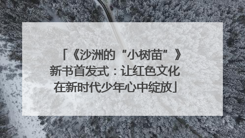 《沙洲的“小树苗”》新书首发式：让红色文化在新时代少年心中绽放