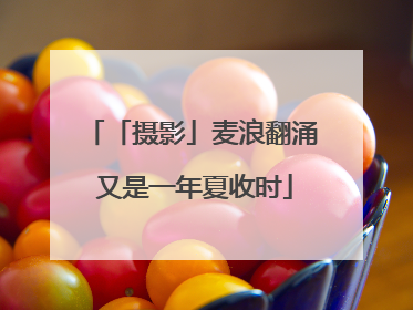 「摄影」麦浪翻涌 又是一年夏收时