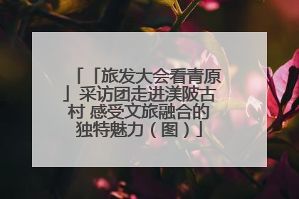 「旅发大会看青原」采访团走进渼陂古村 感受文旅融合的独特魅力（图）