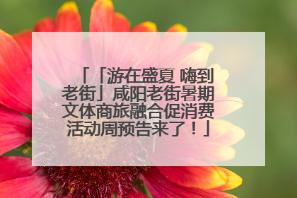 「游在盛夏 嗨到老街」咸阳老街暑期文体商旅融合促消费活动周预告来了！
