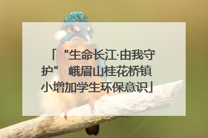 “生命长江·由我守护” 峨眉山桂花桥镇小增加学生环保意识