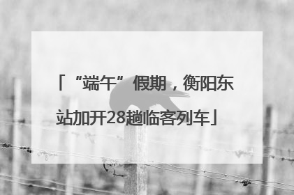 “端午”假期，衡阳东站加开28趟临客列车