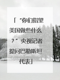 “你们指望美国做些什么？”央视记者提问巴勒斯坦代表