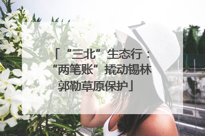 “三北”生态行：“两笔账”撬动锡林郭勒草原保护