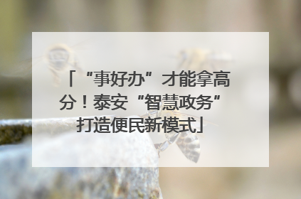 “事好办”才能拿高分！泰安“智慧政务”打造便民新模式