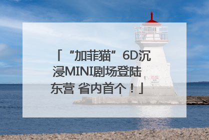 “加菲猫”6D沉浸MINI剧场登陆东营 省内首个！