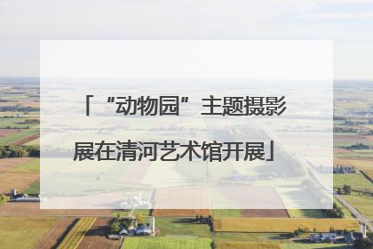 “动物园”主题摄影展在清河艺术馆开展