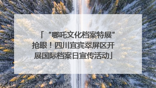 “哪吒文化档案特展”抢眼！四川宜宾翠屏区开展国际档案日宣传活动