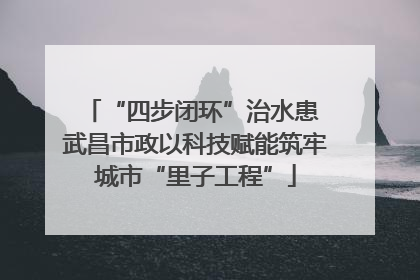 “四步闭环”治水患 武昌市政以科技赋能筑牢城市“里子工程”
