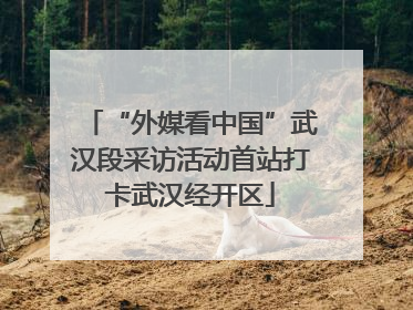 “外媒看中国”武汉段采访活动首站打卡武汉经开区