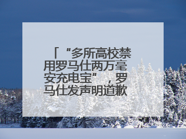 “多所高校禁用罗马仕两万毫安充电宝”，罗马仕发声明道歉：已展开核查