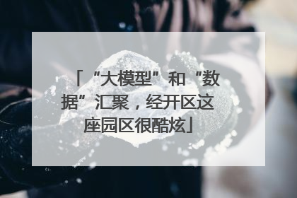 “大模型”和“数据”汇聚，经开区这座园区很酷炫
