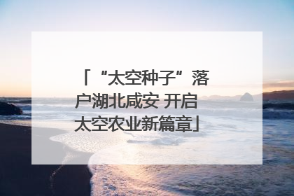 “太空种子”落户湖北咸安 开启太空农业新篇章
