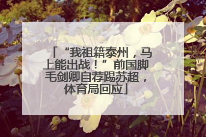 “我祖籍泰州，马上能出战！”前国脚毛剑卿自荐踢苏超，体育局回应