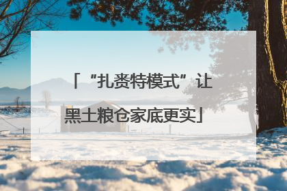 “扎赉特模式”让黑土粮仓家底更实