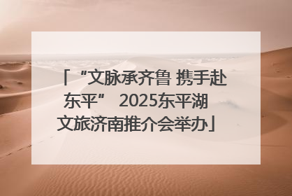 “文脉承齐鲁 携手赴东平” 2025东平湖文旅济南推介会举办
