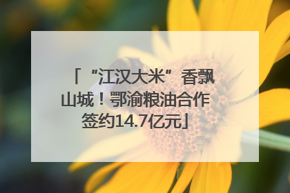 “江汉大米”香飘山城！鄂渝粮油合作签约14.7亿元