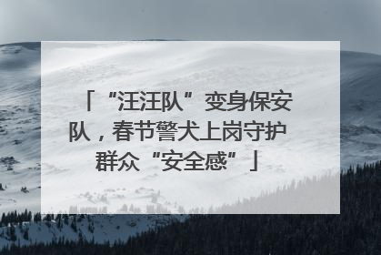 “汪汪队”变身保安队，春节警犬上岗守护群众“安全感”