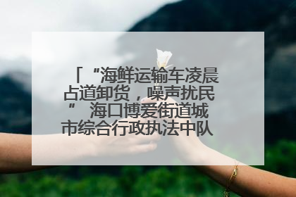 “海鲜运输车凌晨占道卸货，噪声扰民” 海口博爱街道城市综合行政执法中队：将联合交警加强长堤路一带巡逻