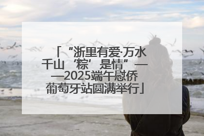 “浙里有爱·万水千山‘粽’是情”——2025端午慰侨葡萄牙站圆满举行
