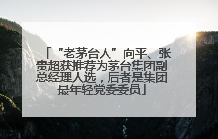 “老茅台人”向平、张贵超获推荐为茅台集团副总经理人选，后者是集团最年轻党委委员