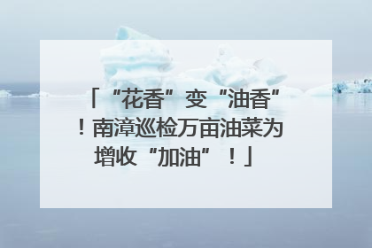 “花香”变“油香”！南漳巡检万亩油菜为增收“加油”！