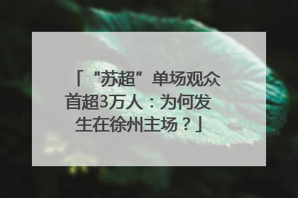 “苏超”单场观众首超3万人：为何发生在徐州主场？