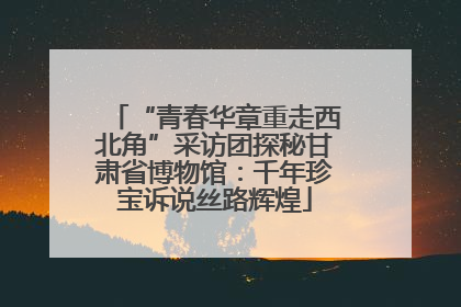 “青春华章重走西北角”采访团探秘甘肃省博物馆：千年珍宝诉说丝路辉煌