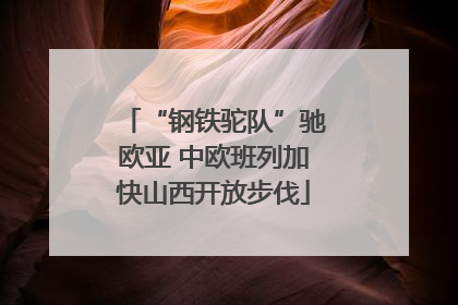 “钢铁驼队”驰欧亚 中欧班列加快山西开放步伐