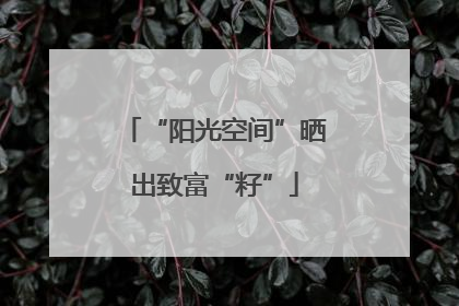 “阳光空间”晒出致富“籽”