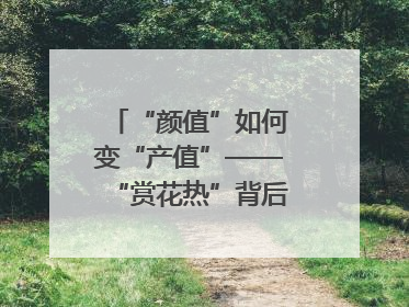“颜值”如何变“产值”——“赏花热”背后的产业图谱