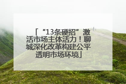 “13条硬招”激活市场主体活力！聊城深化改革构建公平透明市场环境