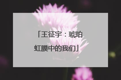 王征宇：琥珀虹膜中的我们