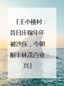 王小楼村：昔日庄稼年年被沙压，今朝粮丰林茂百业兴
