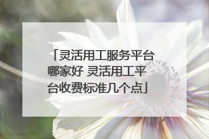 灵活用工服务平台哪家好 灵活用工平台收费标准几个点