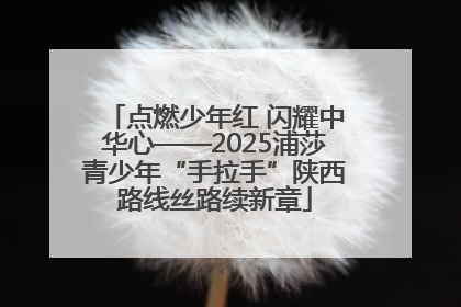 点燃少年红 闪耀中华心——2025浦莎青少年“手拉手”陕西路线丝路续新章