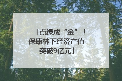 点绿成“金”！保康林下经济产值突破9亿元