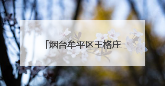 烟台牟平区王格庄镇：赶“海洋大集” 品“百果乡情”
