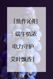 焦作沁阳：端午情浓 电力守护艾叶飘香