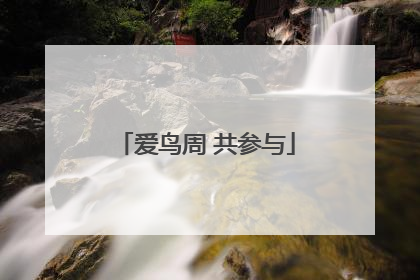 爱鸟周 共参与