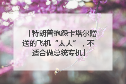 特朗普抱怨卡塔尔赠送的飞机“太大”，不适合做总统专机