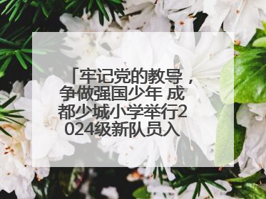 牢记党的教导，争做强国少年 成都少城小学举行2024级新队员入队仪式
