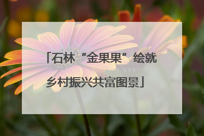 石林“金果果”绘就乡村振兴共富图景