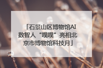 石景山区博物馆AI数智人“噗噗”亮相北京市博物馆科技月