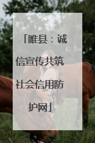 睢县：诚信宣传共筑社会信用防护网