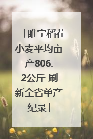 睢宁稻茬小麦平均亩产806.2公斤 刷新全省单产纪录