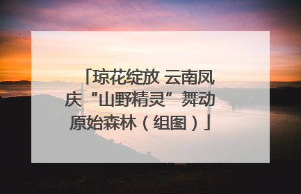 琼花绽放 云南凤庆“山野精灵”舞动原始森林（组图）