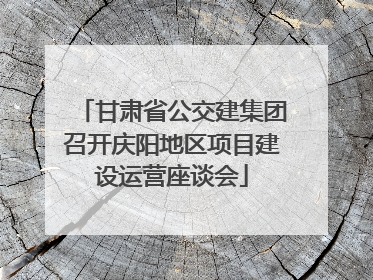 甘肃省公交建集团召开庆阳地区项目建设运营座谈会