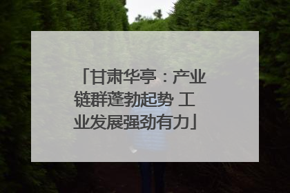 甘肃华亭：产业链群蓬勃起势 工业发展强劲有力