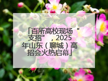 百所高校现场“支招”，2025年山东（聊城）高招会火热启幕